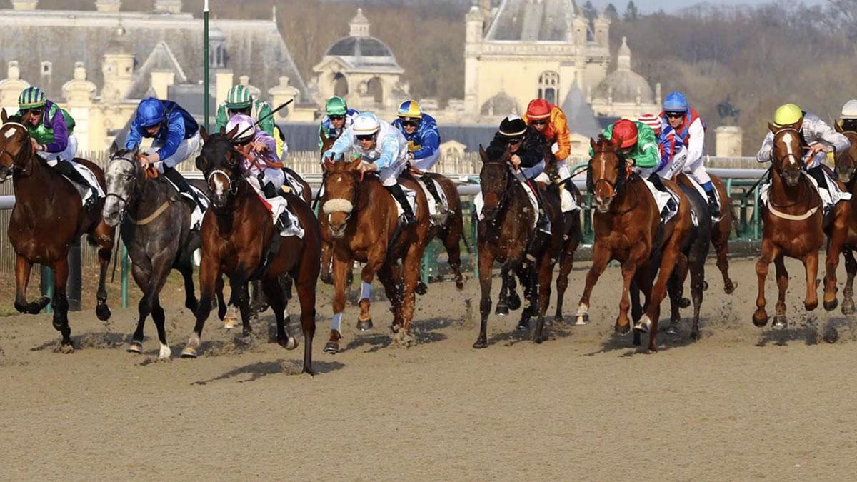 Ligue Hippique R1 03/2025