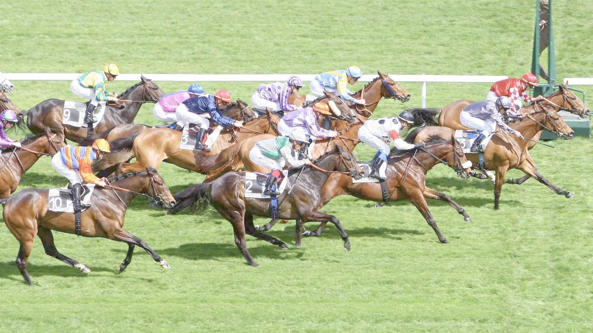 Ligue Hippique R1 03/2025