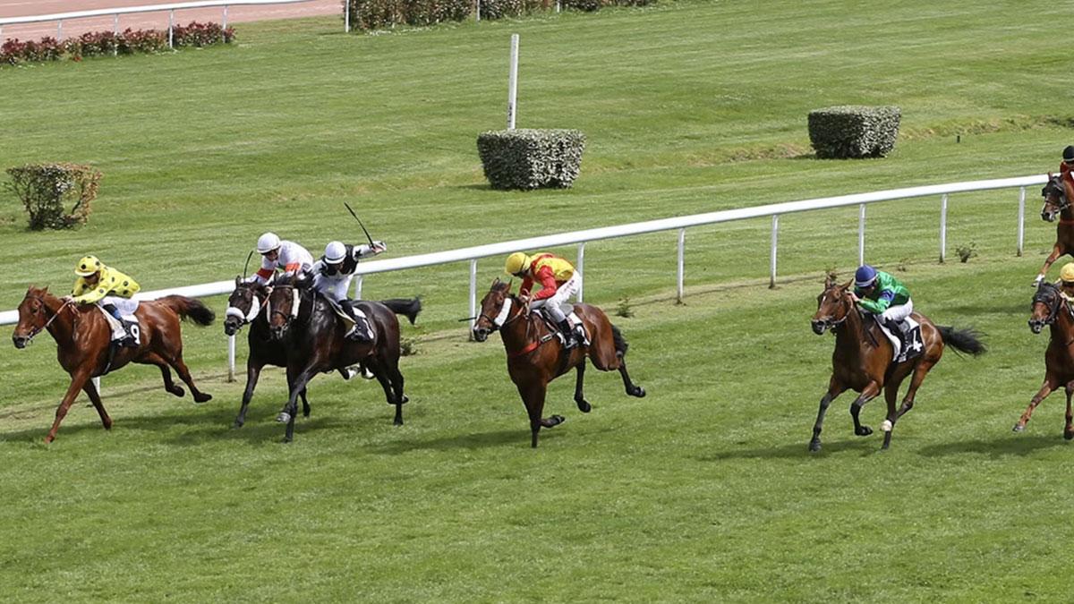 Ligue Hippique R1 04/2025