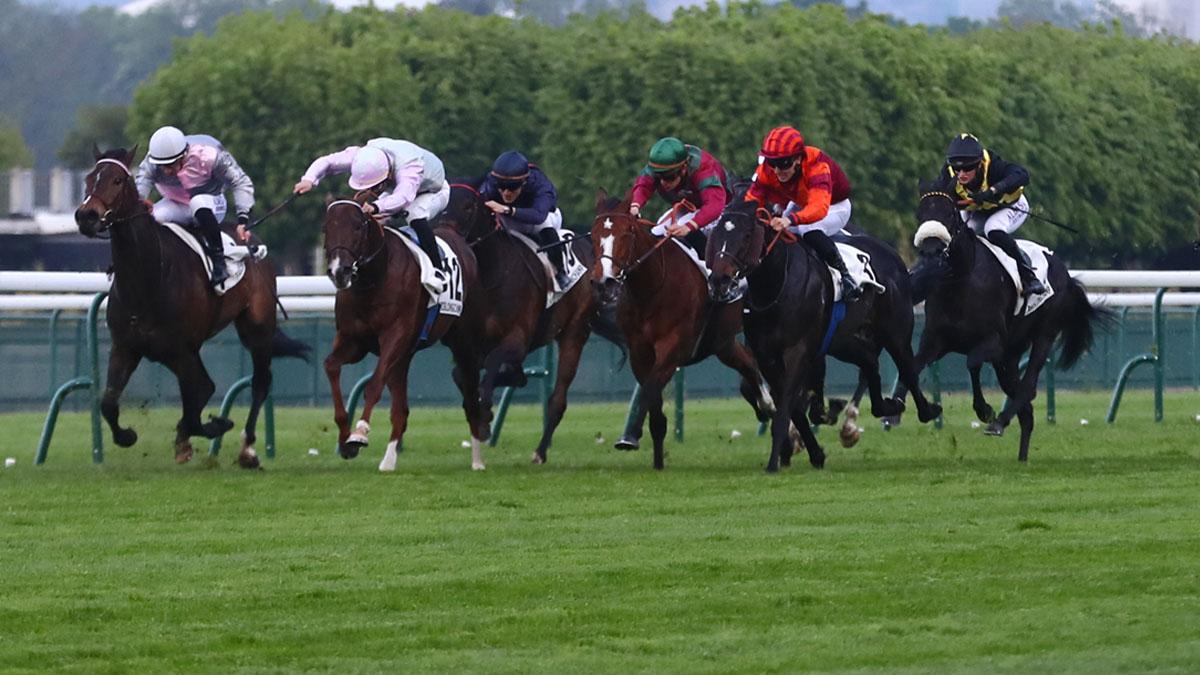 Ligue Hippique R1 05/2025