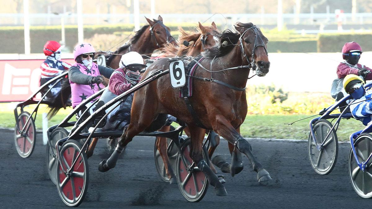 Ligue Hippique R1 05/2025
