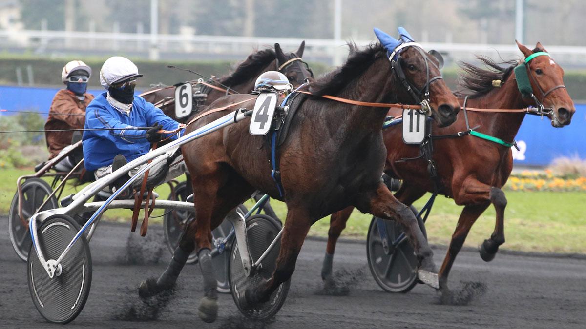 Ligue Hippique R1 05/2025