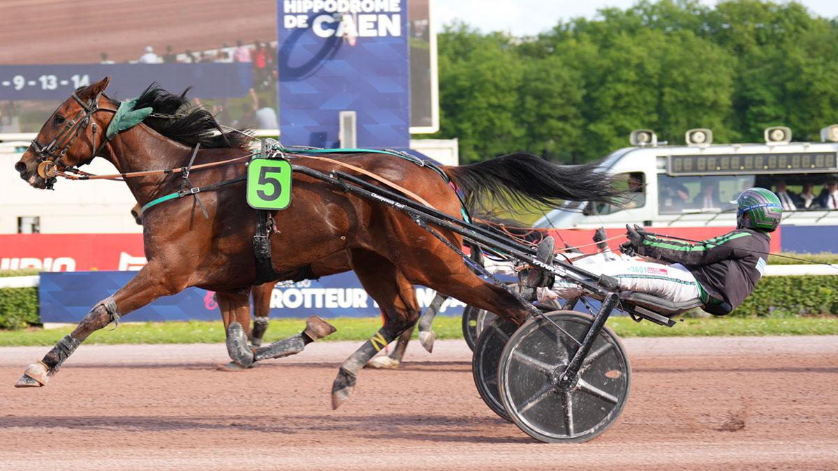 Ligue Hippique R1 06/2025