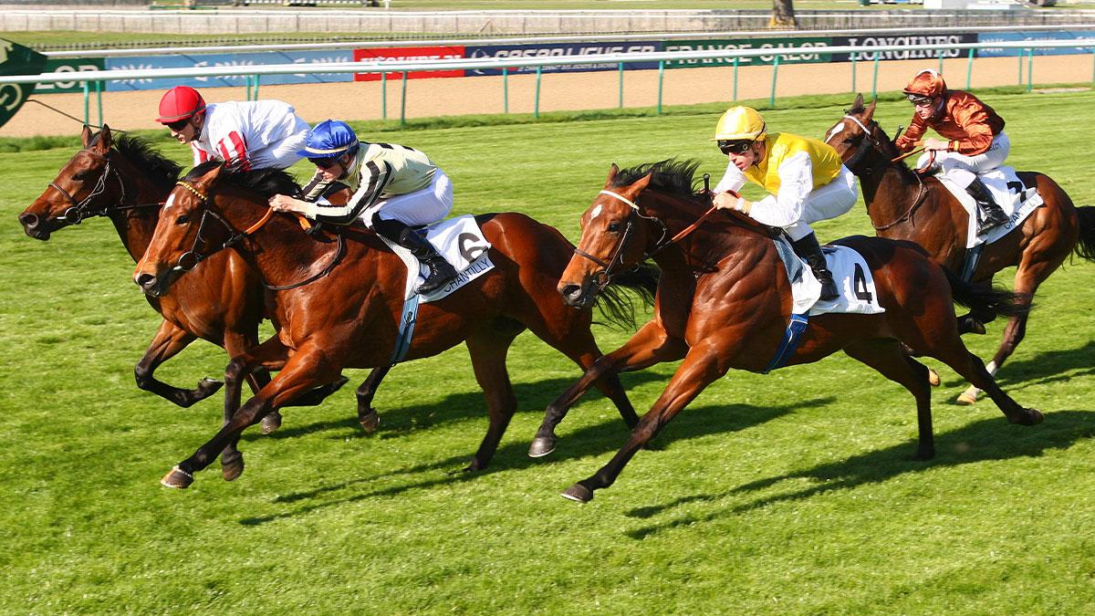 Ligue Hippique R1 07/2025