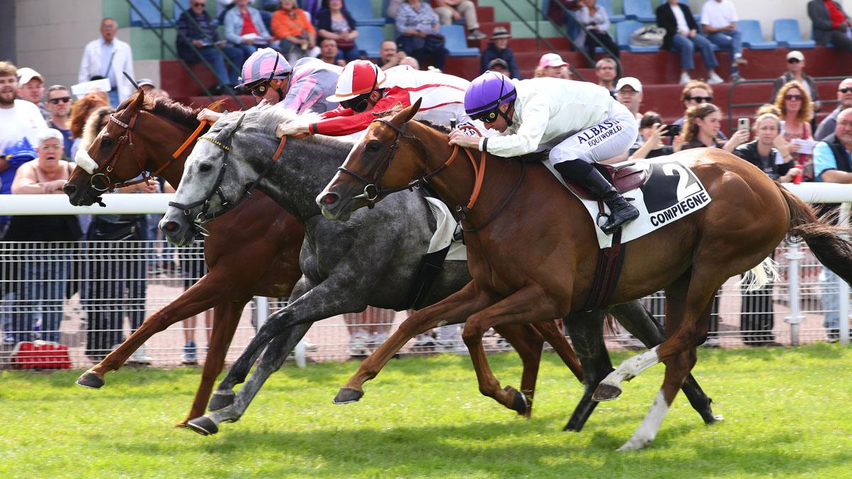 Ligue Hippique R1 09/2025
